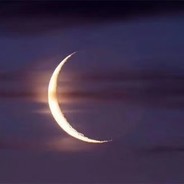 芜湖突破手陈庚辛