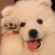 麻薯爱好者（58岁俩娃）