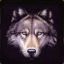 -MrWolf-