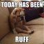 ruff