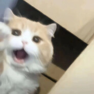 魚.