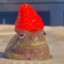 deceitful_frog