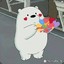 IceBear likes it