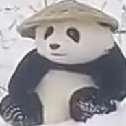 ΓΕΩΡΓΙΑΝΟΣ