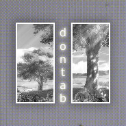 ⎝𝑫𝒐𝒏𝑻𝒂𝒃⎠