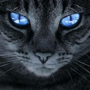 grampers62 avatar