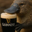 Platypus McGregor