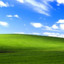 Windows XP