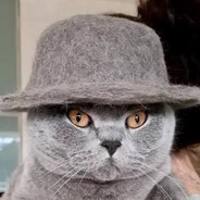 Monzy's avatar