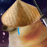 海豹突击队涛哥