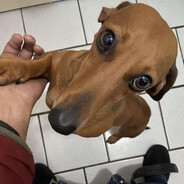 suwu