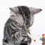 anton
