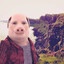 John Pork Gaming