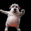 the chudiest dance..