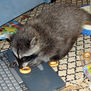 большие сиськи