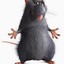 Ratatouille