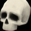 skull