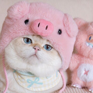 兔兔给你拉巧克力豆