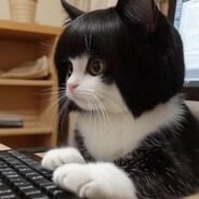 cHoKO Steam avatar