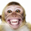 makaka