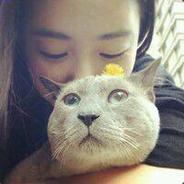 小媛纯子