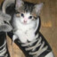 Yuuko♥