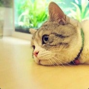 给你一枚滑稽币