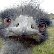 Dusty Crophopper