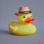 fedora duck