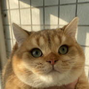 拿什么纪念我们