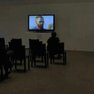 胖达龙钻你柜窝