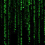 THE MATRIX