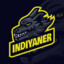 indiyaner