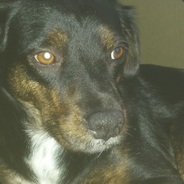 Oldsman - steam id 76561197970983795
