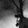 phlob-iwnl-