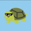 Turtle Senpai