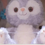 麻辣兔头头头头头