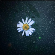 给我来杯矿泉水