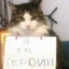Нар Котик