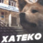 HATIKO a dog&#039;s story