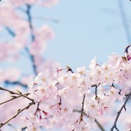 我是小叮当的爸爸