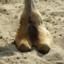 The Camel toe of female ghost