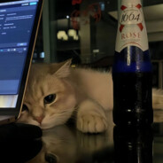 遗憾的不该是我