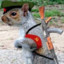 squirrelboy3006