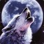Wolfgirl_250